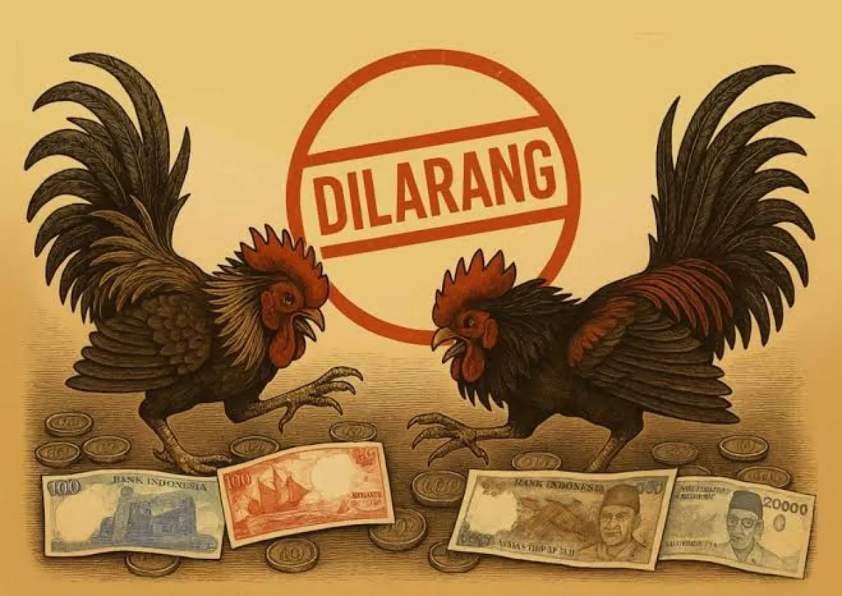 Lapor: Diduga Jadi Tempat Judi Sabung Ayam di Desa Wadung, Polsek Pakisaji No Respon 